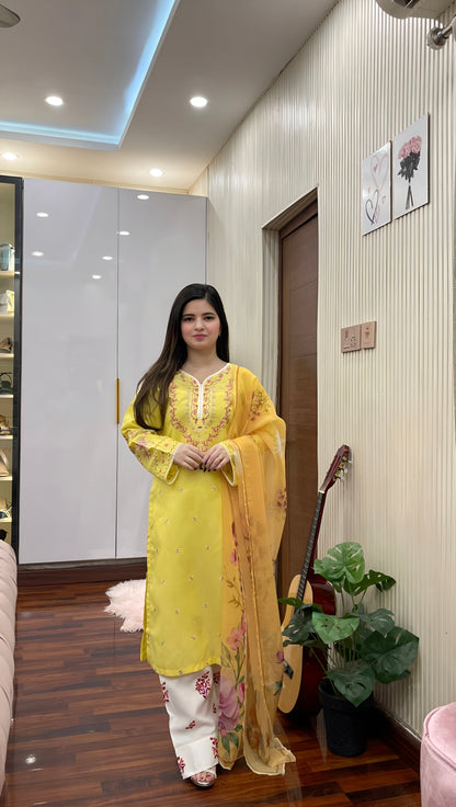 HAJRA EMBROIDERY 3PC (FARSHI)